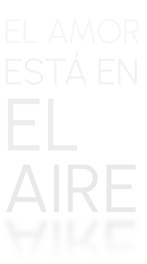 EL AMOR ESTÁ EN EL AIRE